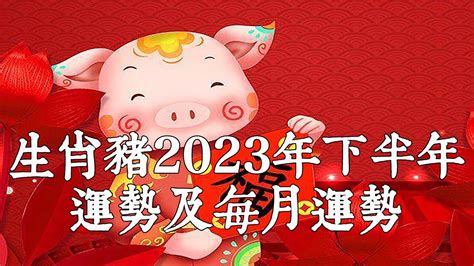 2024肖豬|2024年屬豬人全年整體運勢詳解